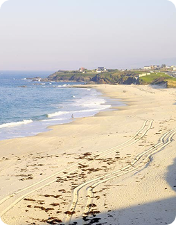 Playa